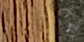 Plakat an der Thomaskirche Leipzig (11./12.10.2025) Tür Thomaskirche