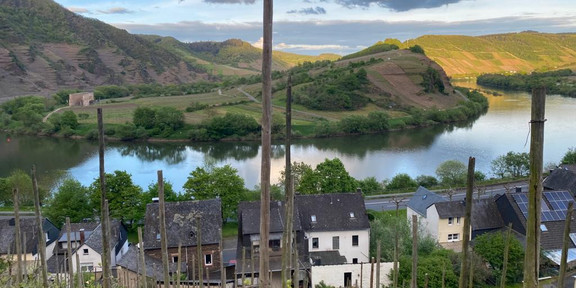 Das Bild zeigt ein Panorama von Bremm an der Mosel.