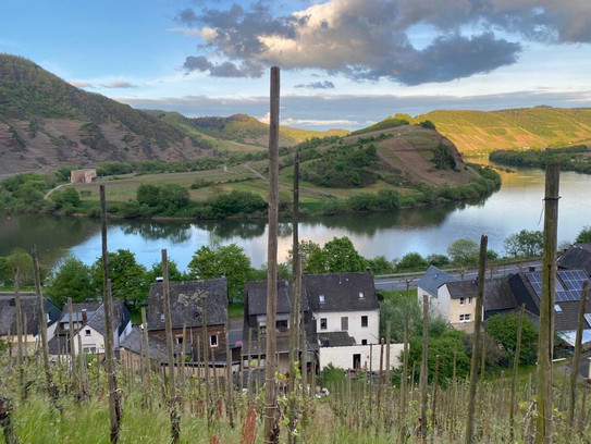 Das Bild zeigt ein Panorama von Bremm an der Mosel.