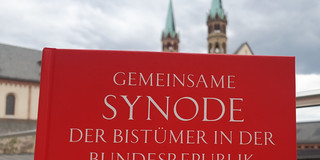 Das Bild zeigt das Cover einer Sammlung der Beschlüsse der Würzburger Synode.