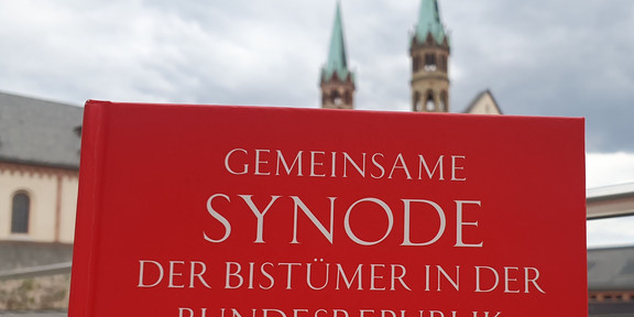 Das Bild zeigt das Cover einer Sammlung der Beschlüsse der Würzburger Synode.