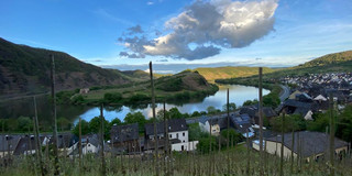 Das Bild zeigt den Ausblick vom Weinberg. 