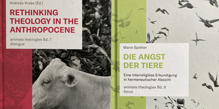 Das Bild zeigt die Cover der neuerschienenen Bände. 