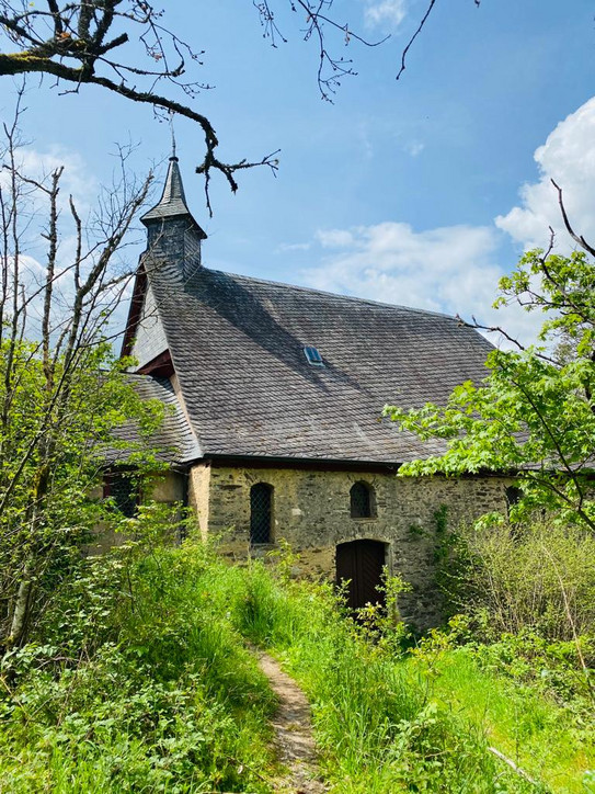 Das Bild zeigt ein Haus zwischen Gräsern und Büschen.